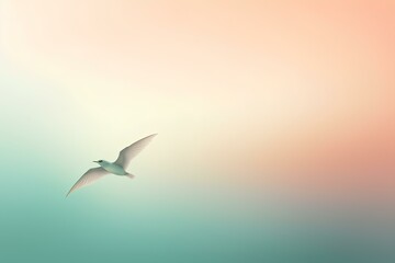 Obraz premium seagull in flight