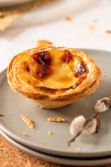 A single, beautifully caramelized Portuguese custard tart, Pastel de nata, sits on a light gray plate with flaky crust details and subtle shadows suggesting a bright, inviting setting