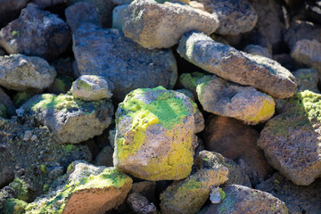sulfur covered rocks dappled by the sun