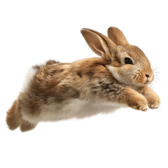 Obraz premium Adorable Brown Bunny Rabbit in Mid-Air Leap