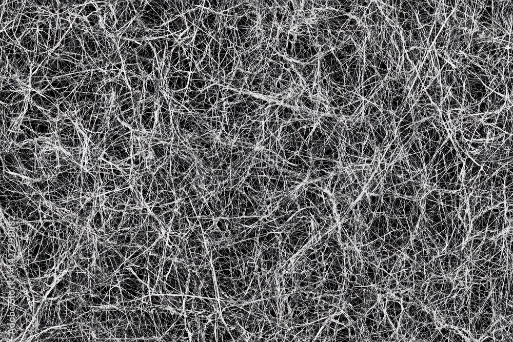 Poster intricate network of interwoven filaments on a dark background. detailed view of a complex, lacy str