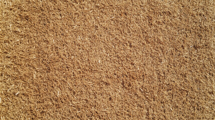 Brown Coir Doormat Texture