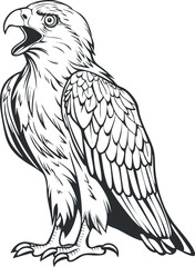 Stylized illustration of a hawk showcasing intricate feather details and a fierce expression.