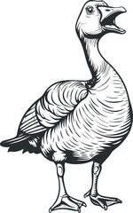 A detailed black and white illustration of a duck with an open beak in a natural setting.