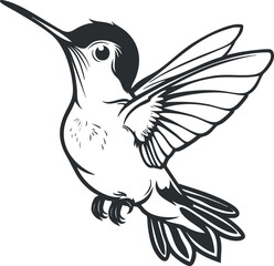 A detailed black and white illustration of a hummingbird in mid-flight showcasing its wings.
