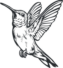 Illustration of a hummingbird in flight showcasing its intricate feathers and wings.