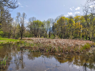 Fototapeta premium Spring Landscape of South Park in city of Sofia, Bulgaria