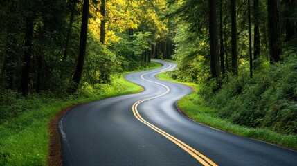 Fototapeta premium Winding asphalt path through lush forest offers scenic driving adventure