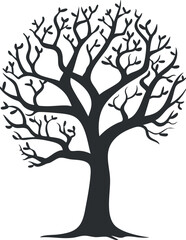 A silhouette of a leafless tree with intricate branches and a sturdy trunk.