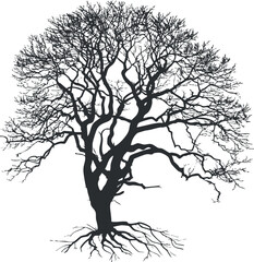 Fototapeta premium A detailed silhouette of a leafless tree showcasing intricate branches and roots.
