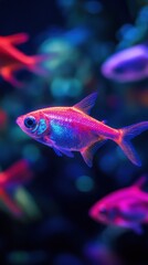 Fototapeta premium Vibrant tropical fish displaying iridescent colors in an underwater scene.