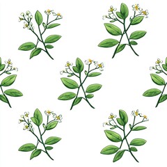 Mistletoe branch with tiny flowers