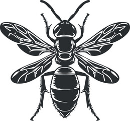 Illustration of a detailed bee with intricate wing and body features in black and white.