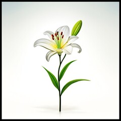 elegant lily graceful curve flower design
