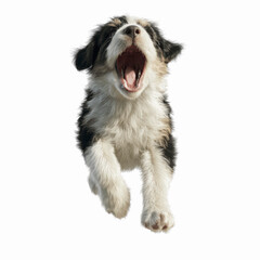 Fototapeta premium Playful Puppy in Mid-Air Leap, Mouth Open in Excitement