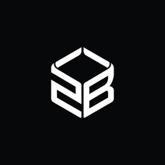 Modern Geometric Tech Logo Design