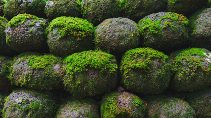 Mossy stone ruins in Polynesia 