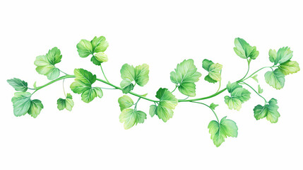 Glimmering mint stems isolated on a white background for freshness and flavor. Glimmer Stem. Illustration