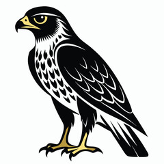 Hawk birds set isolated shilhotee vector on white background