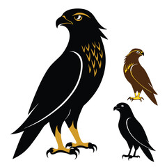 Hawk birds set isolated shilhotee vector on white background