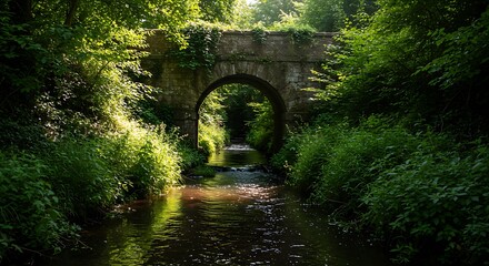 Stone Bridge Over Creek in Lush Green Forest Scenery