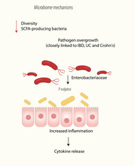 microbiome