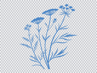 Delicate wildflower silhouette with thin stems and umbrella-shaped blossoms in blue vector style on transparent background, perfect for botanical art,  prints, and nature designs.
