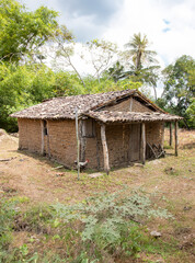 Rustic clay house with wooden roof in rural Brazil surrounded by trees and dry grass
