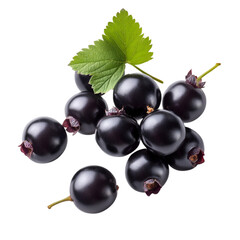 Juicy Black Currants with Green Leaf Fresh Berries Nature Food,