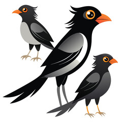 Dragon birds set isolated shilhotee vector on white background