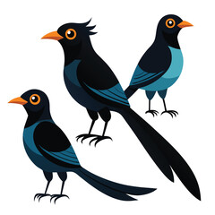 Dragon birds set isolated shilhotee vector on white background