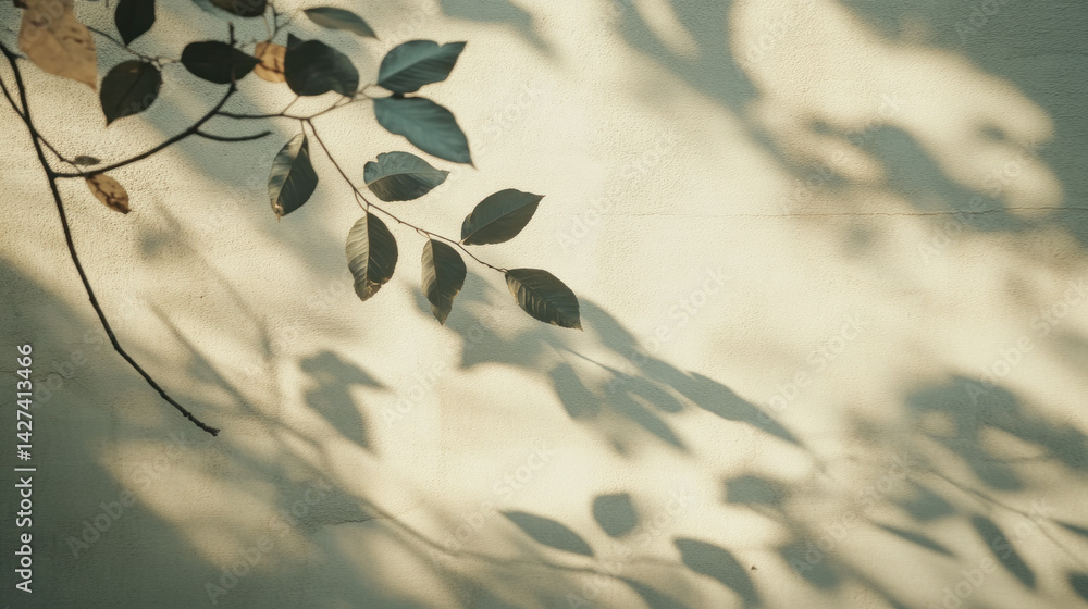 Poster a leafy branch casts a shadow on a wall. the shadow is long and thin, stretching across the wall. co