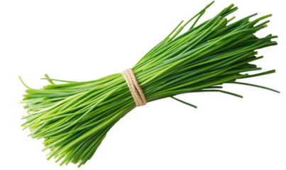Fresh green chives gathered with natural rope, viewed from above on a clean white backdrop, highlighting their culinary potential and vibrant color