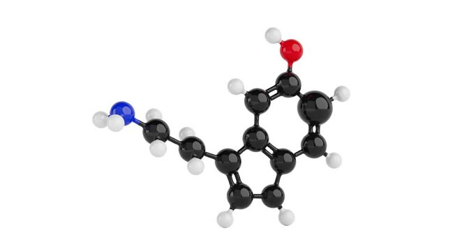 4k Resolution Video: Structural Model of Serotonin Molecule Chemical Formula Seamless Looped Rotating on a white background