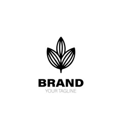 Cocoa Logo. Cocoa Logo Design. Cocoa Logo Brand. Cocoa Logo Vector Design Isolated on White Background