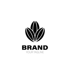 Cocoa Logo. Cocoa Logo Design. Cocoa Logo Brand. Cocoa Logo Vector Design Isolated on White Background