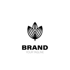 Cocoa Logo. Cocoa Logo Design. Cocoa Logo Brand. Cocoa Logo Vector Design Isolated on White Background