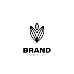 Cocoa Logo. Cocoa Logo Design. Cocoa Logo Brand. Cocoa Logo Vector Design Isolated on White Background