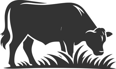 Angus cattle grazing silhouette