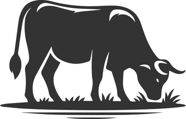 Angus cattle grazing silhouette