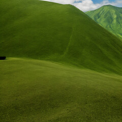 golf course green grass
