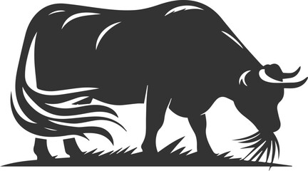 Angus cattle grazing silhouette