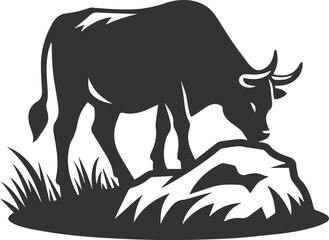 Angus cattle grazing silhouette