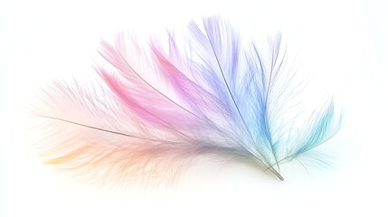 Obraz premium Pastel Feathers Grouped Together on White Background Creating a Soft Delicate Effect