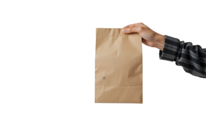 Hand holding kraft paper bag