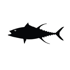 tuna fish isolated on white