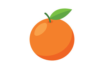 Fresh Grapefruit vector on white background