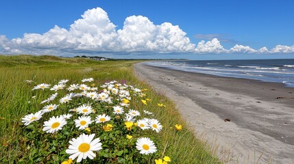 Beach Scenery Featuring White Daisies Sandy Shoreline Blue Water And Cloudy Sky