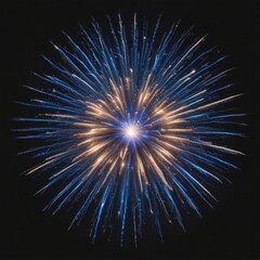 Fototapeta premium fireworks in the night sky