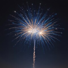 Fototapeta premium fireworks in the night sky